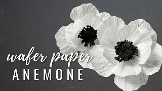 How To Make Wafer Paper Anemone (flexible wafer paper tutorial)