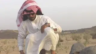 شيلة يا معدي المرقاب لا عاد ترقا كلمات محمد احمد السديري اداء بادي بن حمود ال بريك
