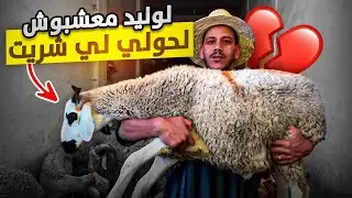 لوليد معجبوش الحولي ديال عيد الأضحى 🐑🥲حولي صغير بزاف تقولبت فيه 🥹