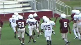 Undefeated Whippets