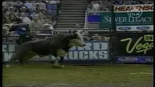 Reindeer bucks Rob Bell - 03 PBR Reno