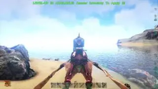 Ark: Shark Cage
