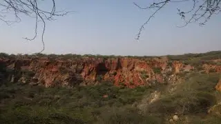 Modi Launches ₹16,053 Cr Aravalli Green Wall Project | World Environment Day Initiative