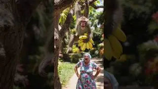An old woman was eating bananas in a bush#shortvideos#AI viral video