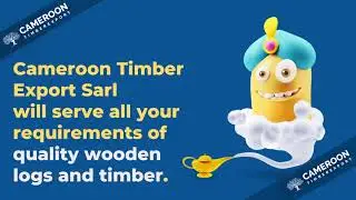 Cameroon Timber Export Sarl: Best Timber Exporter Worldwide