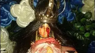 Vatican Launch Inquiry After Virgin Mary Statue Crying Blood Goes Viral
