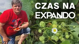 Czas na Expando w 4-letniej Rumbie - Zbigniew Marek