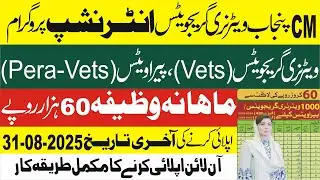 CM Punjab Paid Internship | Veterinary Graduates Apply Online | Complete Process