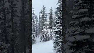 traveling to japan this winter? i got you! #japantravel #traveltips #japanwinter #travelguide