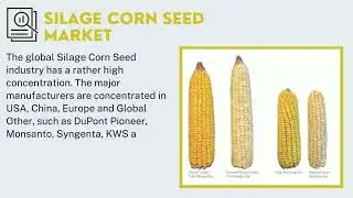 Silage Corn Seed Market | Industry Data Analytics | IDA Market Reports