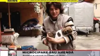 microcipare sau amenda