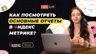 Как посмотреть основные отчеты в Яндекс Метрике &mdash; Site Elite Studio