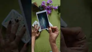 OneTarot's Daily Message - the fountain #tarot #tarotreading #tarotmeanings #tarotcards