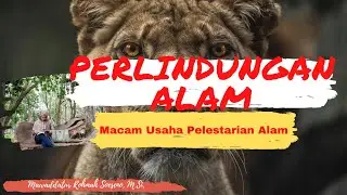 Perlindungan Alam. Macam Usaha Pelestarian Alam.