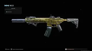 Unlocked the GOLD CAMO for the M13C (mw2)