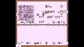 Pokemon Red - Pokedex entries of glitch Pokemon 211-220