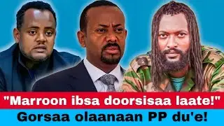 Oduu: Gorsaan olaanaa mootummaa du'uu fi deebii WBO