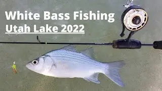 Ice Fishing Utah Lake January 2022 - Utah Ice Fishing 2022