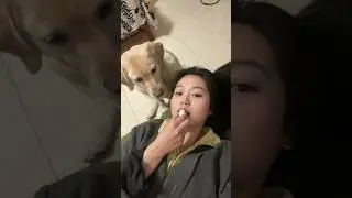 Training 😜😁 #petlover #pets #doglover #petlaughs