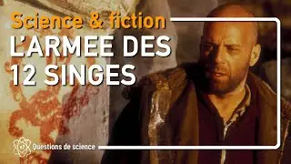 ⭐ L' Arm&eacute;e des 12 Singes (1995) : Voyage dans le Temps et Critique Sociale de Terry Gilliam