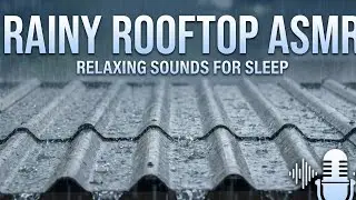 Rainy ASMR for studying #asmr #suarahujan #rainsleep #hujanderas #relaksasi 