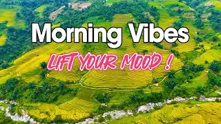 Morning Vibes - Relaxing Rhumba Cha Cha Guitar Melodies - Happy Chill Music to Lift Your Mood