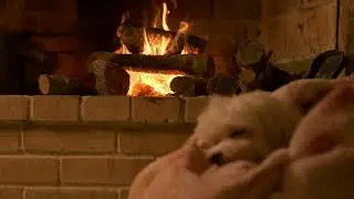 #2026 Vision: 30 Minutes of Deep Stillness & Fireplace Sounds for New Year Reflection.