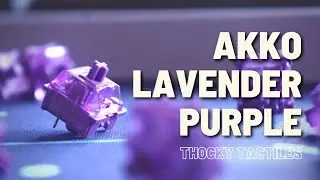 Thocky Tactile Switch | Akko Lavender Purple | Review and Sound Test