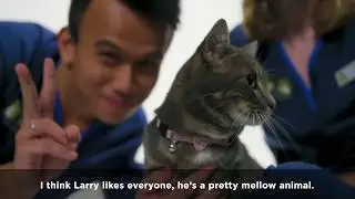 Meet The Pet - Larry The Cat