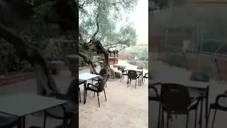 RestauranteBoda