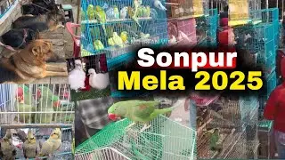 Sonpur Mela Chidiya Bazar 2025 || Sonpur Mela Dogs || सोनपुर मेला कुत्ता बाजार || Sonpur Mela 2025