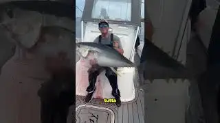 Perch&eacute; il tonno non viene tirato fuori dall&rsquo;acqua subito 🤔