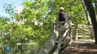 A Secret Garden Re-opened in Central Park after 82 Years