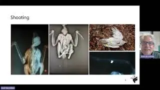Raptor persecution, Committee Against Bird Slaughter