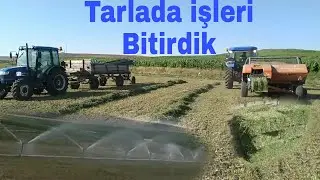 Tarlada yonca tırmıklanması#Yonca balya yapımı#yonca sulaması#sulama(borular.su motoru.fıskiye)malze
