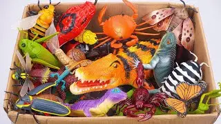 ZURU ROBO ALIVE COLLECTION | UNBOXING Cute Crocodile, New Robo Alive Giant Insect Creeper | ASMR