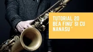 Tutorial 20 - Bea finu si cu nanasu'