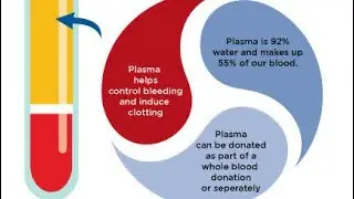 Plasma proteins composition,functions,constituent