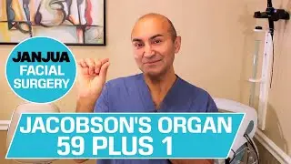JACOBSON'S ORGAN - 59 PLUS 1 - DR. TANVEER JANJUA