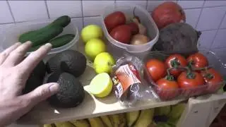 Einblicke in meine K&uuml;che (vegane Rohkost): Das solltet ihr immer im Haus haben!