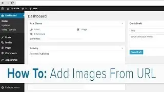 How to Add an Image From a URL