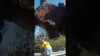 Magnet fishing (two super cool finds) in Raywick, Kentucky