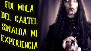 Las BRUJAS  del cartel de sinaloa  - relatos  narrados en espa&ntilde;ol