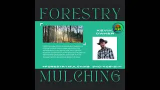 How Much Dost Forestry Mulching Cost?