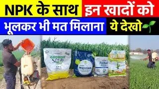 NPK के साथ, इन खादों को कभी मत मिलाना | ये देखो  | Water Soluble Fertilizer NPK