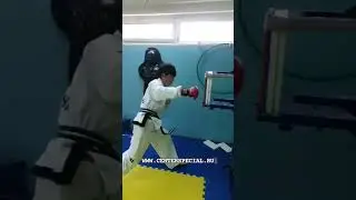 Сборная Москвы по тхэквондо МФТ