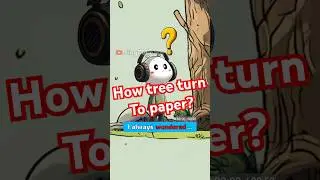 How tree turn to paper #sing #music #learnwithmusic