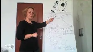 CINETICA CHIMICĂ - CLASA a XII-a  LECȚIA 2