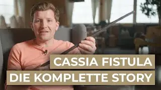 Cassia Fistula | Die komplette Story | Nat&uuml;rliche Gesundheitsvermittlung in Gefahr