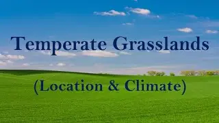 Temperate Grasslands